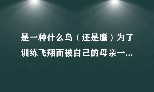 是一种什么鸟（还是鹰）为了训练飞翔而被自己的母亲一次又一次的从树上推下来？