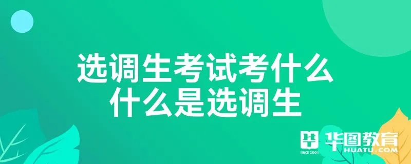 选调生考试考什么什么是选调生