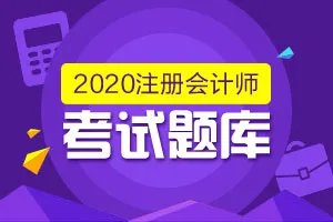 2020注册会计师考试试题及答案《会计》(11-4)