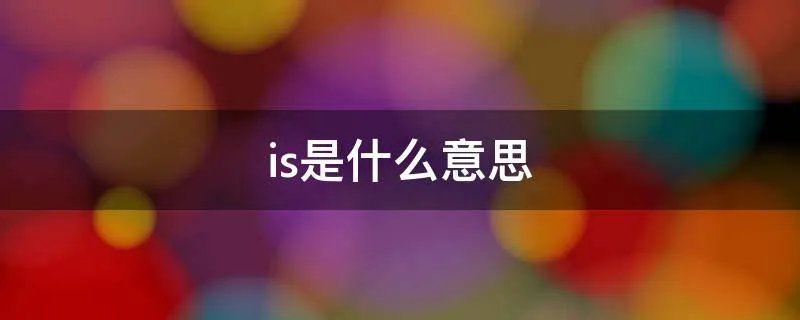 is是什么意思