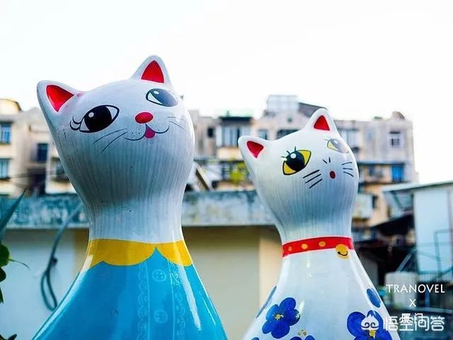 福建最受驴友欢迎的景点有哪些?