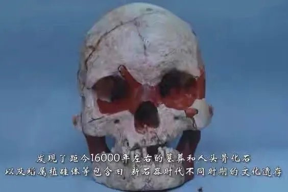 16000年前的人头骨化石被发现，骨化石主人生前是干啥的？有什么地位？