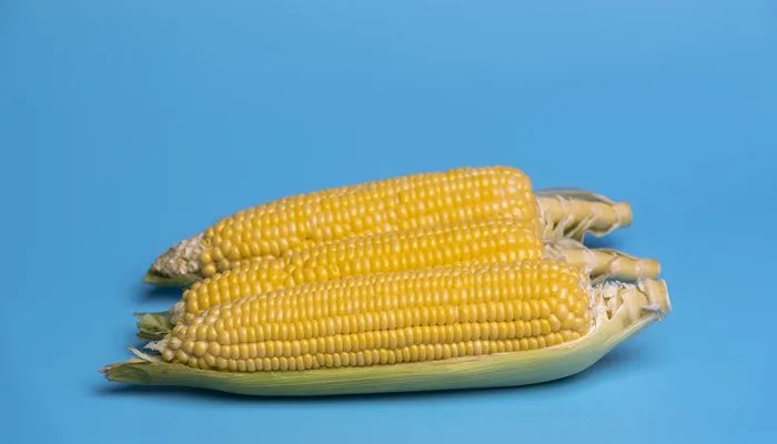 玉米芯有什么用途 玉米芯都有什么用途