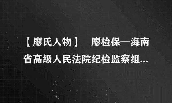 【廖氏人物】​廖检保—海南省高级人民法院纪检监察组组长，党组成员