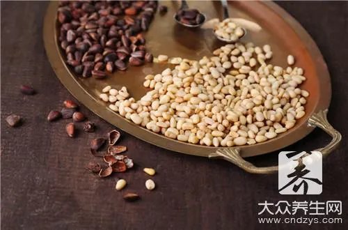 松子的功效与作用有哪些呢？