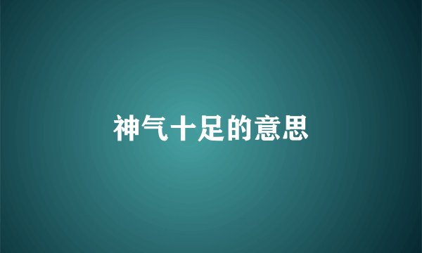 神气十足的意思