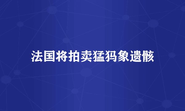 法国将拍卖猛犸象遗骸