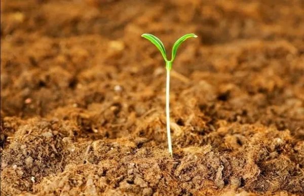 湖南一村庄用土泡水喝了200年，这是怎么一回事？