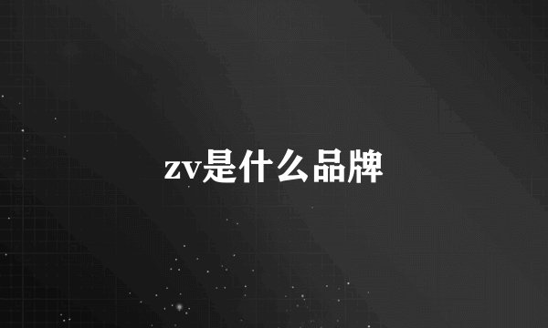 zv是什么品牌