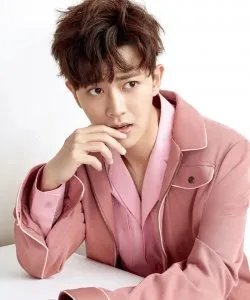 请君阵容官宣了,这是一部什么题材的电视剧?