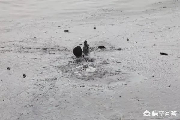 烈火英雄真实事件是哪个城市？