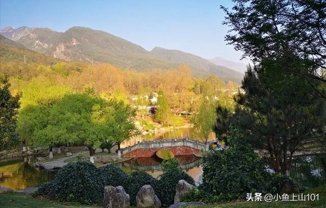 大理大学的樱花真的很多吗？好看吗？