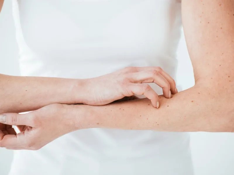 皮肤粘合素的作用