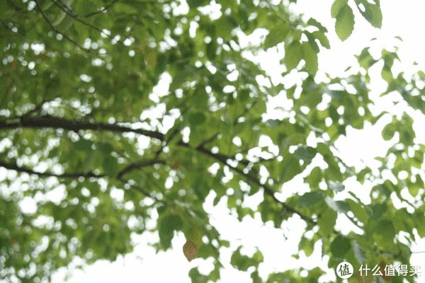 美能达镜头推荐