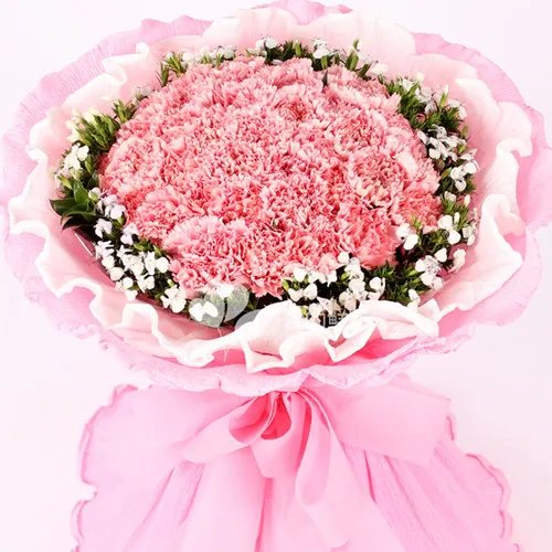 康乃馨花束图片及制作方法 如何养护康乃馨花束