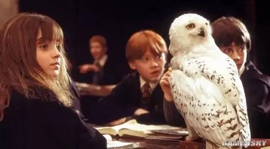 看完《神奇动物在哪里》 你确定找全彩蛋了吗