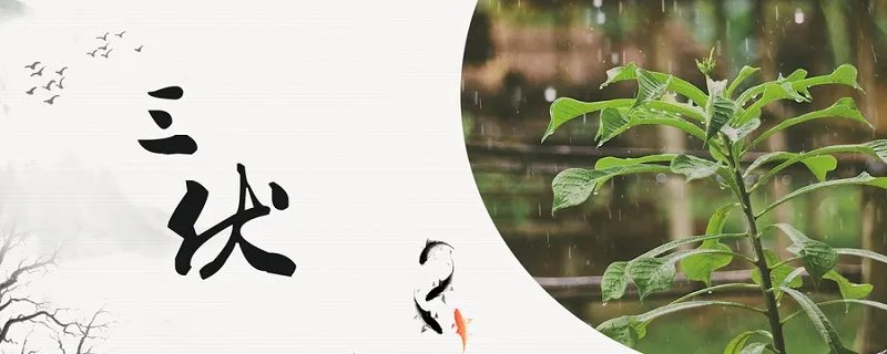 三伏天是什么时候