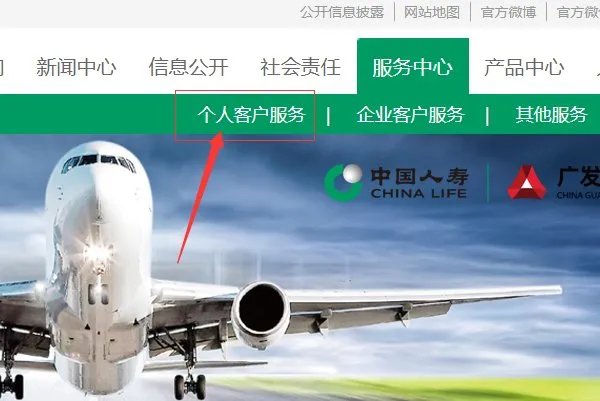 中国人寿保险官网保单查询