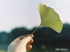 “错了性别不错爱”，你对这句话是怎么理解的？