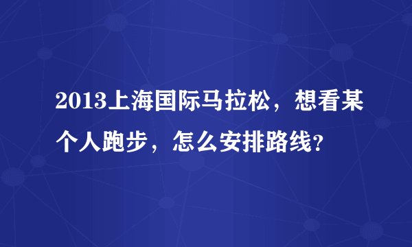 2013上海国际马拉松，想看某个人跑步，怎么安排路线？