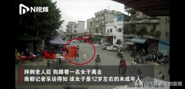 如果你是牵狗女孩，你会逃跑嘛？