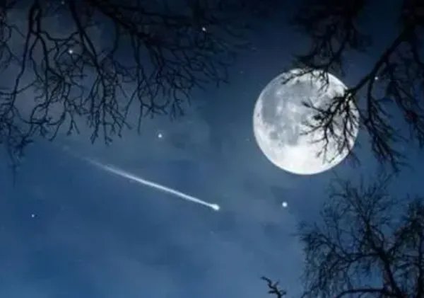 明月千里共婵娟是什么意思?