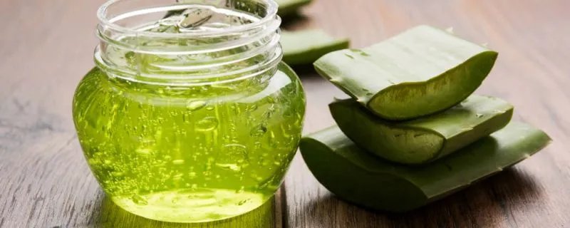 芦荟胶的功效作用 芦荟胶作用是什么