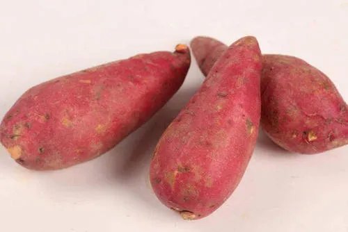 河南洛阳有哪些特产_河南洛阳十大特产推荐