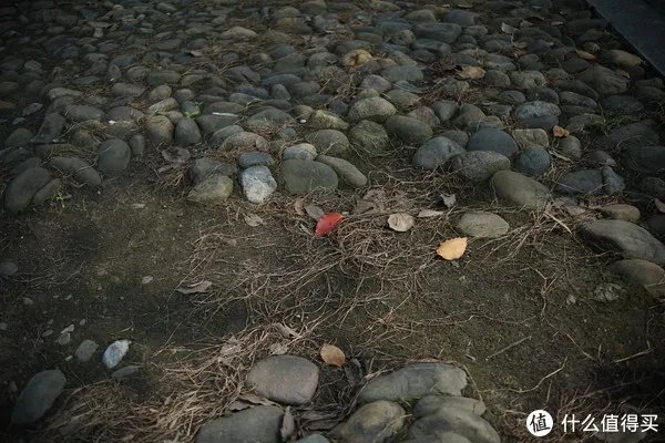 美能达镜头推荐