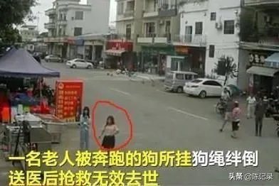 如果你是牵狗女孩，你会逃跑嘛？