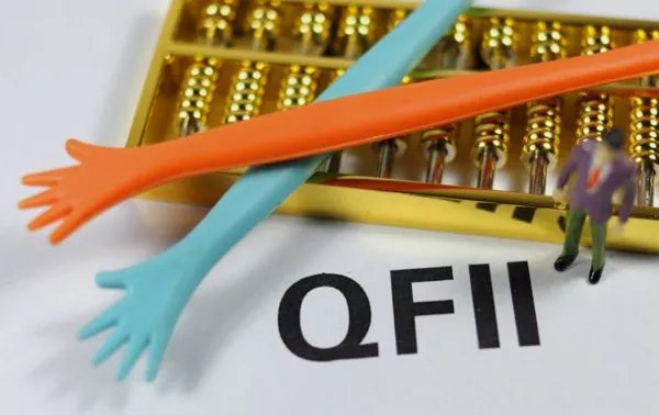 qfii是什么意思啊