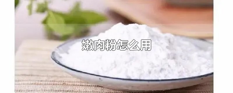 嫩肉粉怎么用