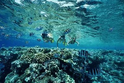 国内海岛旅游与国外海岛旅游的差异有哪些？