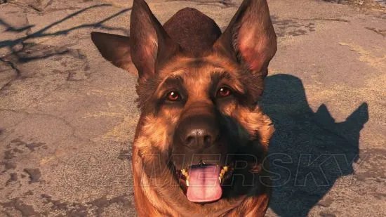 《辐射4》秘籍控制台指令大全 辐射4秘籍有哪些