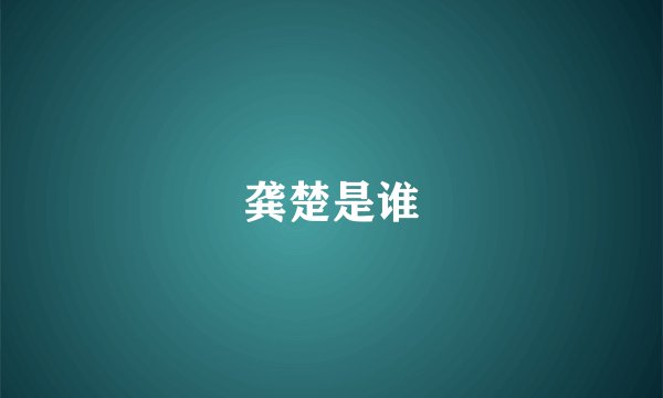 龚楚是谁