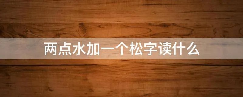 两点水加一个松字读什么