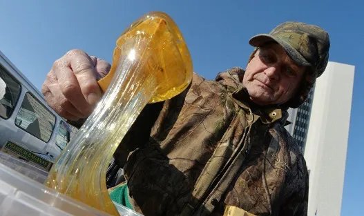 俄蜂蜜为何禁入中国？