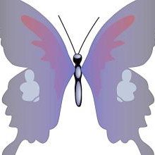 喜欢明道的就来吧！