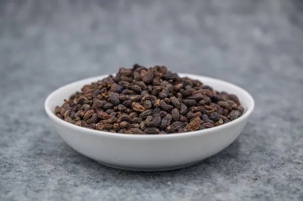 一公分等于1cm吗