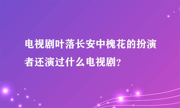 电视剧叶落长安中槐花的扮演者还演过什么电视剧？