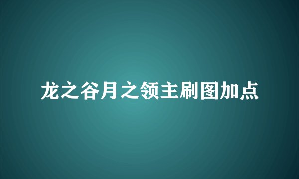 龙之谷月之领主刷图加点