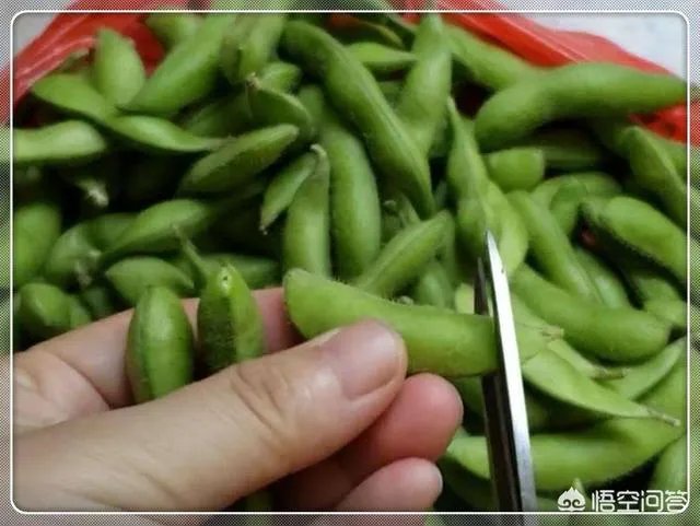 煮毛豆怎么做?