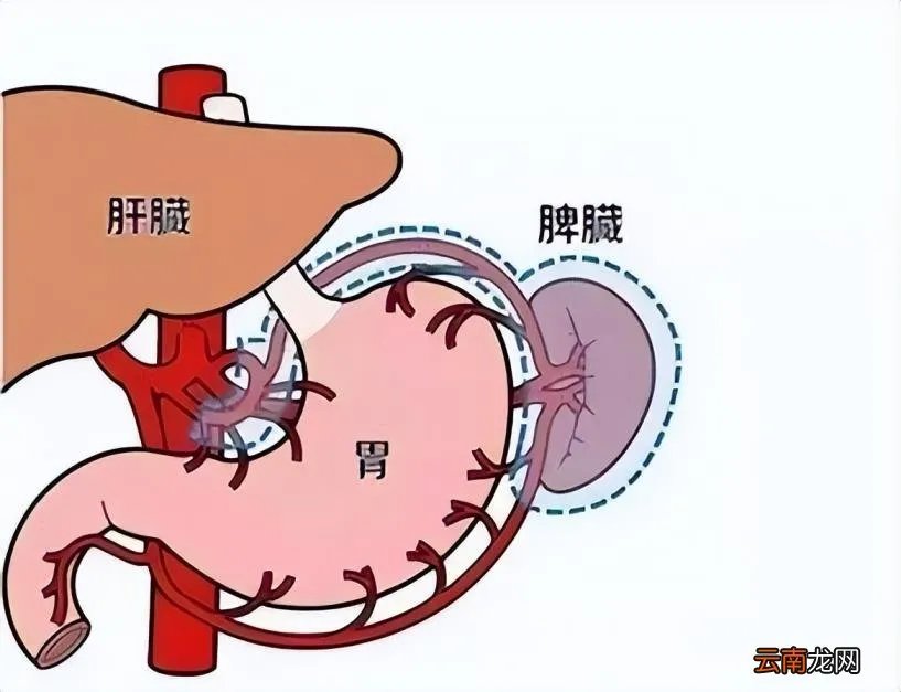 干咳无痰吃什么药 干咳无痰吃什么药效果最好