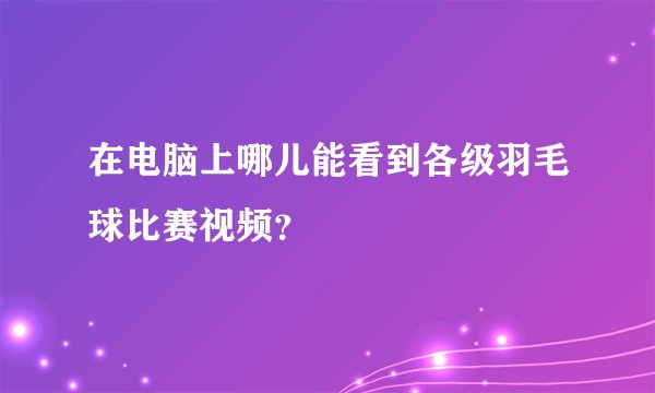 在电脑上哪儿能看到各级羽毛球比赛视频？