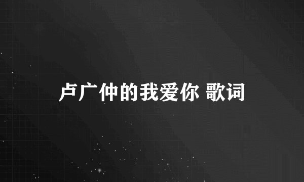 卢广仲的我爱你 歌词