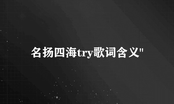 名扬四海try歌词含义