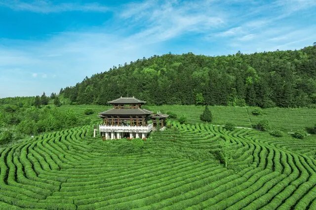 中国十大丑陋建筑