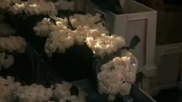 为什么长得漂亮的姑娘反而不会被真正喜欢？