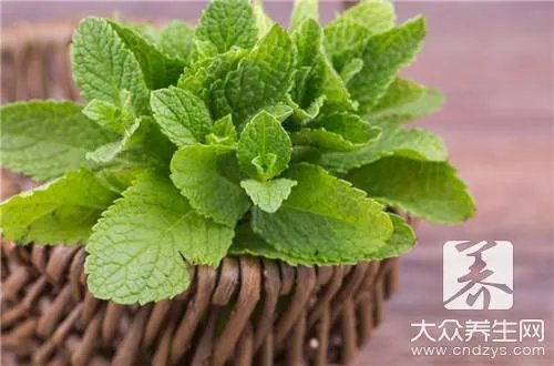 薄荷叶吃法禁忌是什么？千万别这么吃！