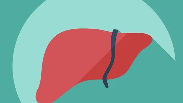 载脂蛋白b偏低的原因